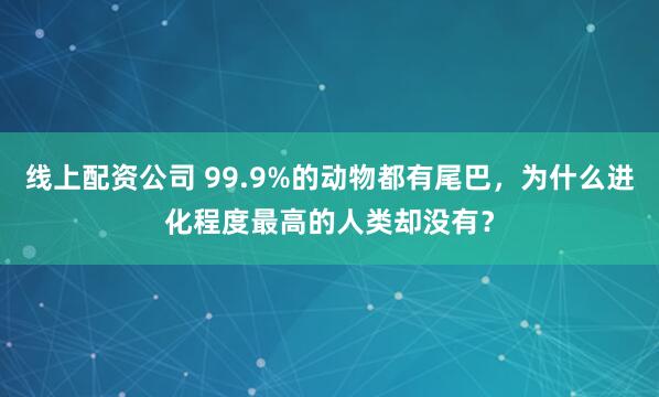 线上配资公司 99.9%的动物都有尾巴，为什么进化程度最高的人类却没有？